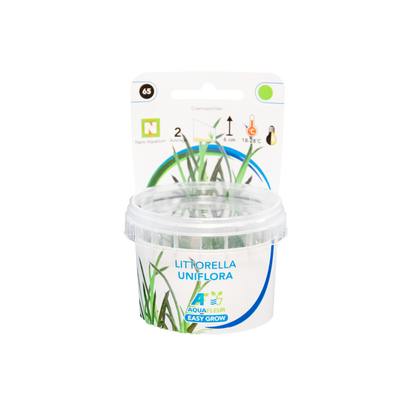 Aquafleur Littorella uniflora Easy Grow