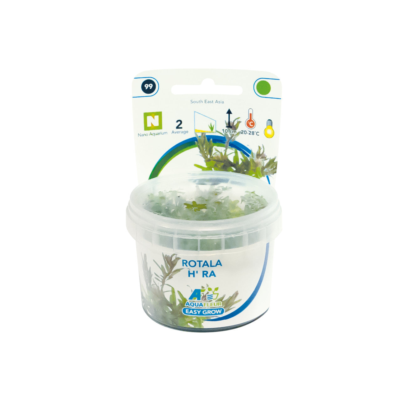 Aquafleur Rotala rotundifolia H'ra Easy Grow