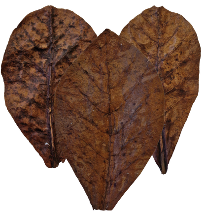 JBL Catappa Leaves
