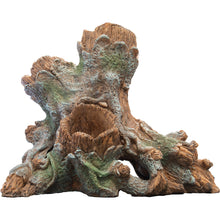 Superfish Scapers Wood Planty for Potted Plants