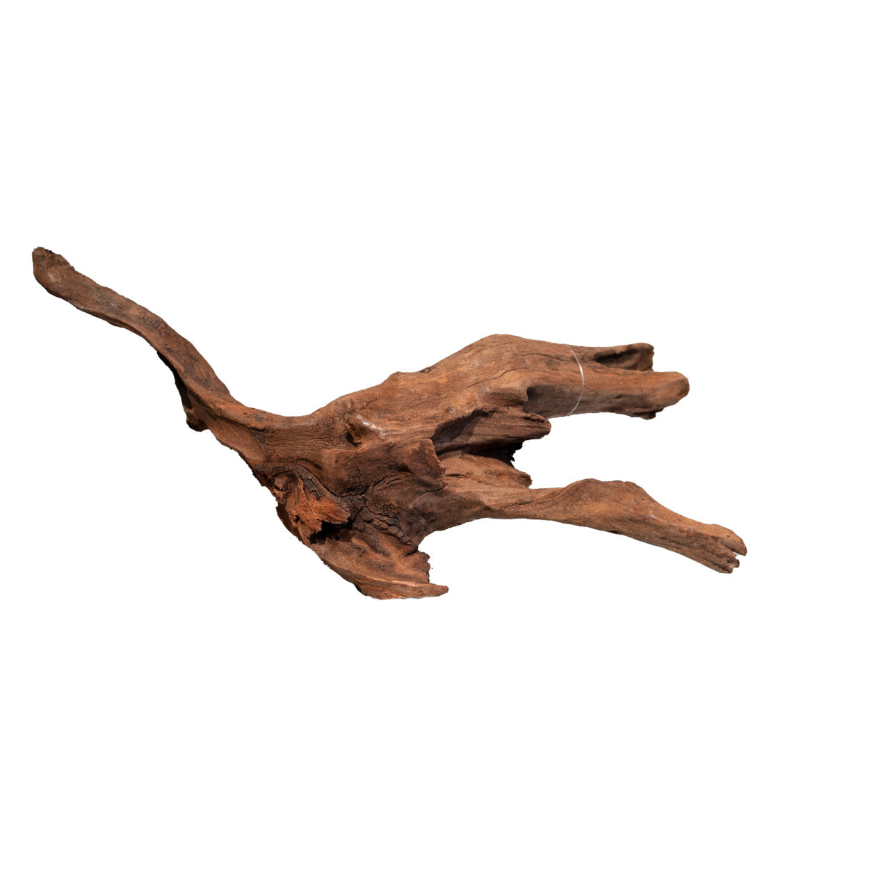 Mangrove Aged Wood 20-60cm