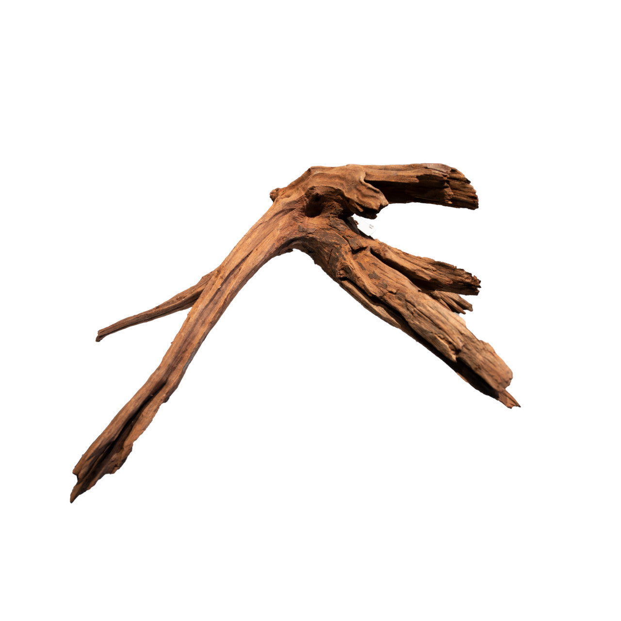 Mangrove Aged Wood 20-60cm