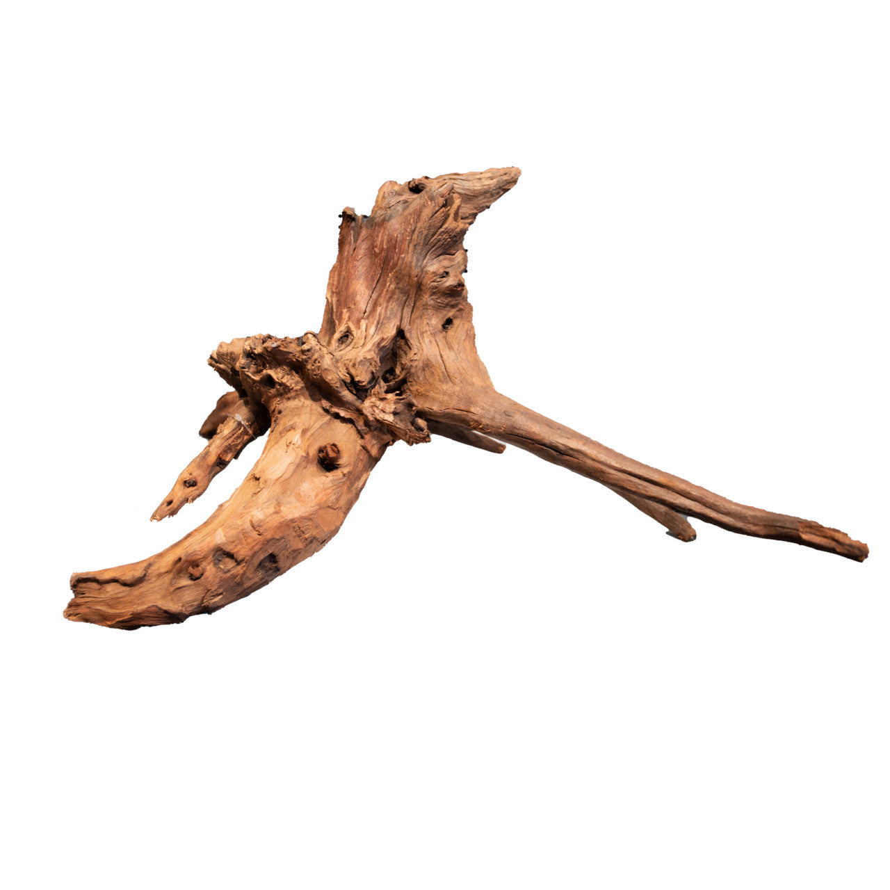 Mangrove Aged Wood 20-60cm