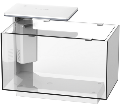 Superfish Quadro 40 Multi-Colour LED