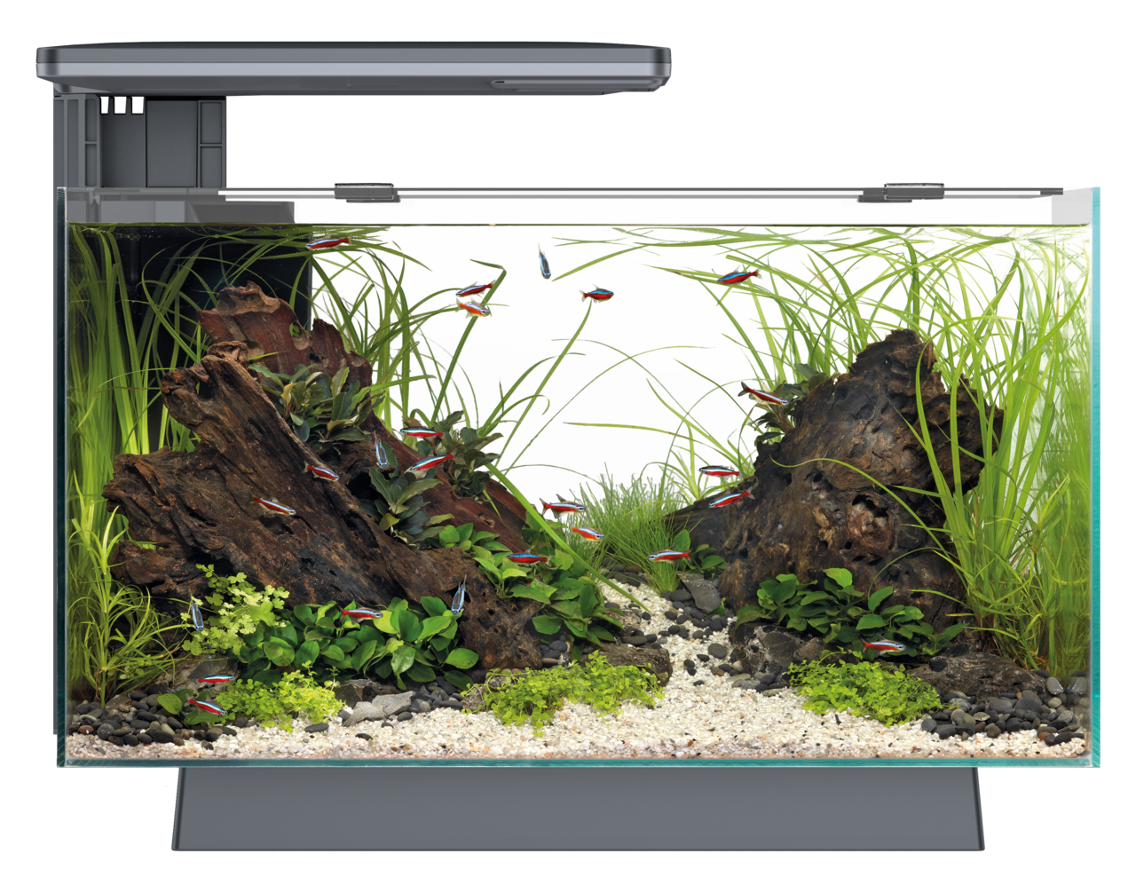 Superfish Quadro 40 Pro (White/Blue LED)