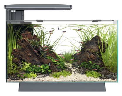 Superfish Quadro 40 Pro (White/Blue LED)