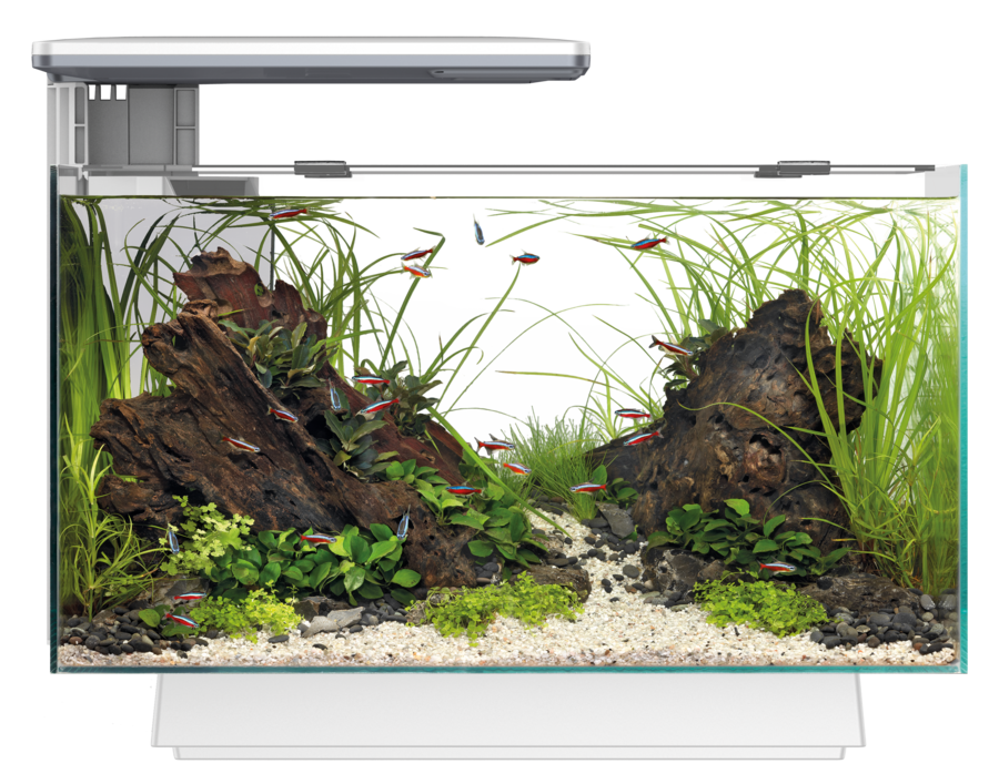 Superfish Quadro 40 Multi-Colour LED