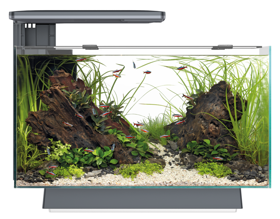 Superfish Quadro 40 Multi-Colour LED