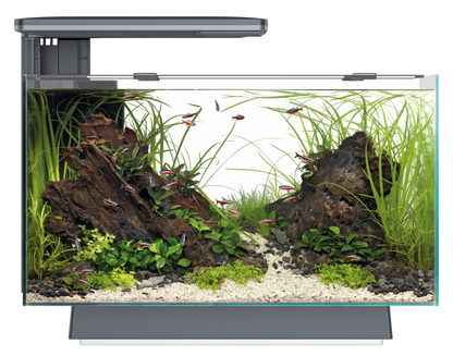 Superfish Quadro 40 Multi-Colour LED