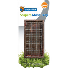 Ceramic Moss Tray