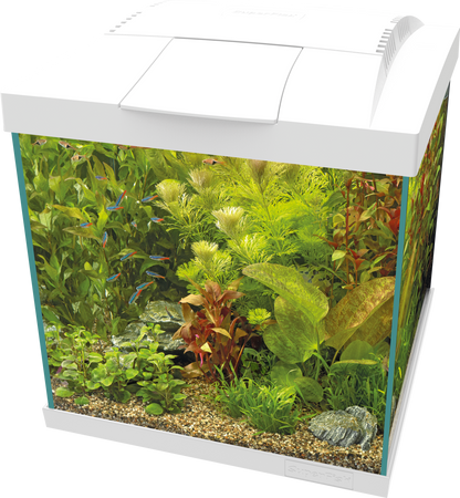 Superfish Start 30 Qube Kit