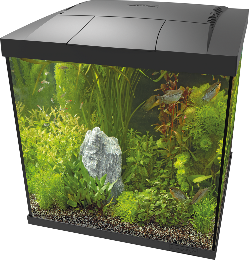 Superfish Start 60 Qube Kit Complete Aquarium Set Fish Tank – Pro Shrimp