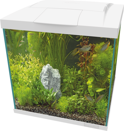 Superfish Start 60 Qube Kit