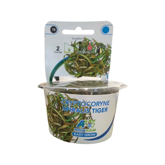 Aquafleur Cryptocoryne spiralis Tiger Easy Grow