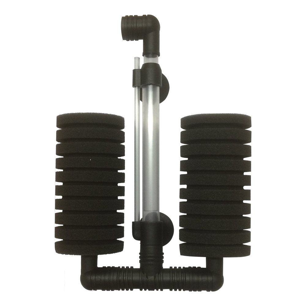 Hugo Double Sponge Filter
