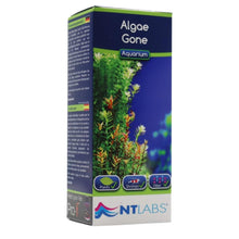 NT Labs Algae Gone