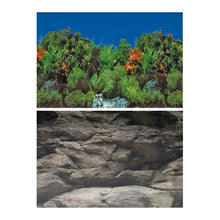 Superfish Deco Poster B