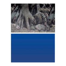 Superfish Deco Poster D