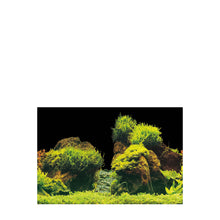 Superfish Deco Poster E