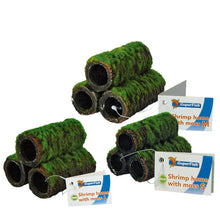Shrimp Home with Artificial Moss