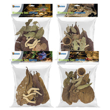 Superfish Biotope Botanical Set