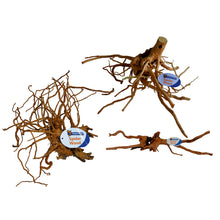 Spiderwood 20-60cm