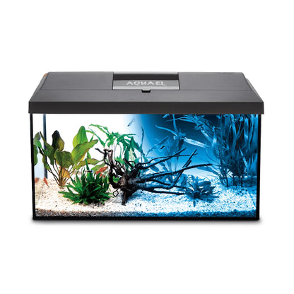 Aquael Leddy 40 Day & Night