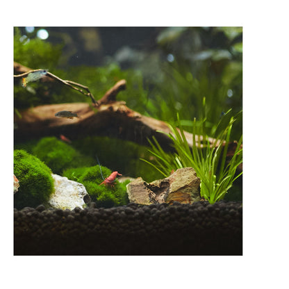 Aquavitro Aquasolum Soil 2kg