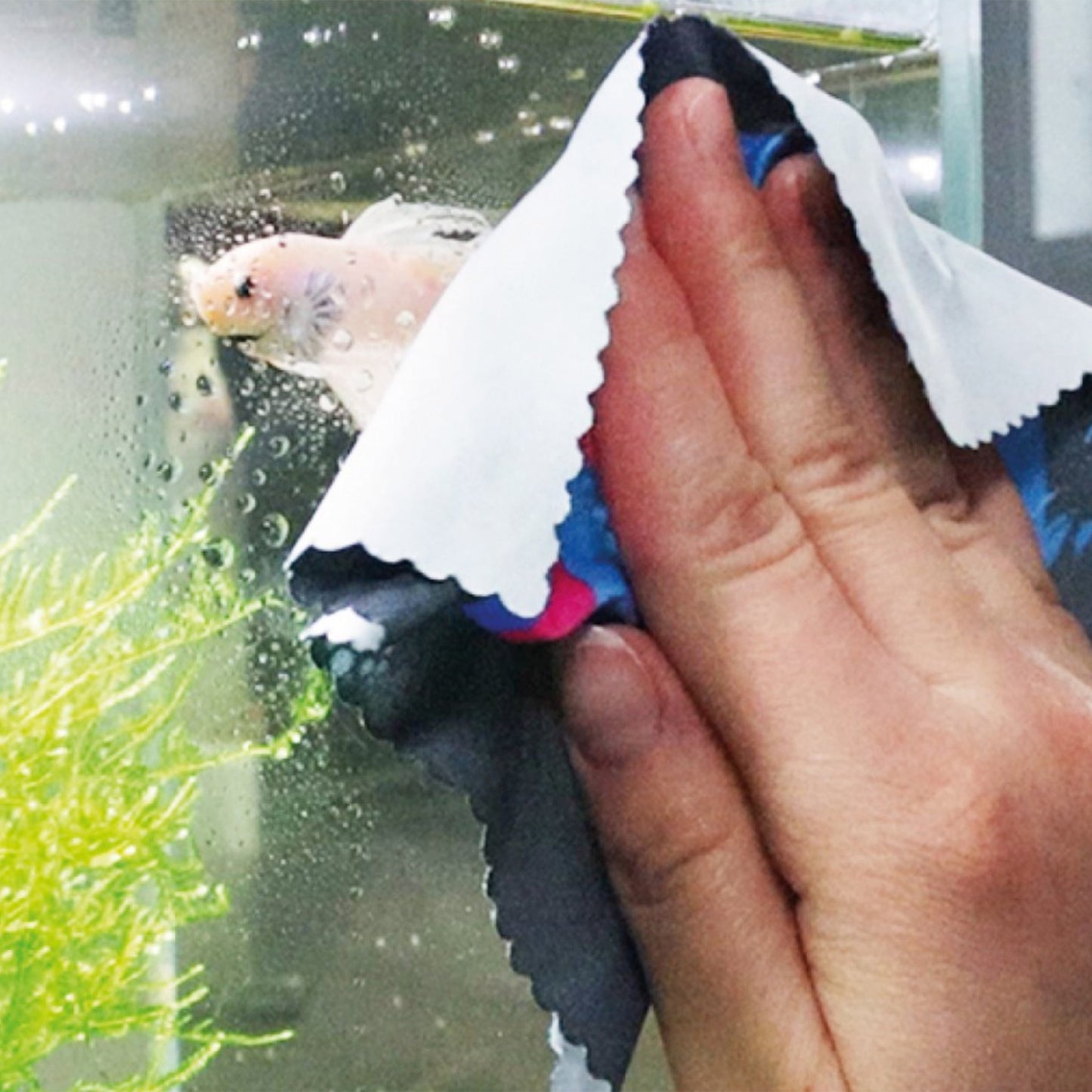 NT Labs Procare Glass Cleaner