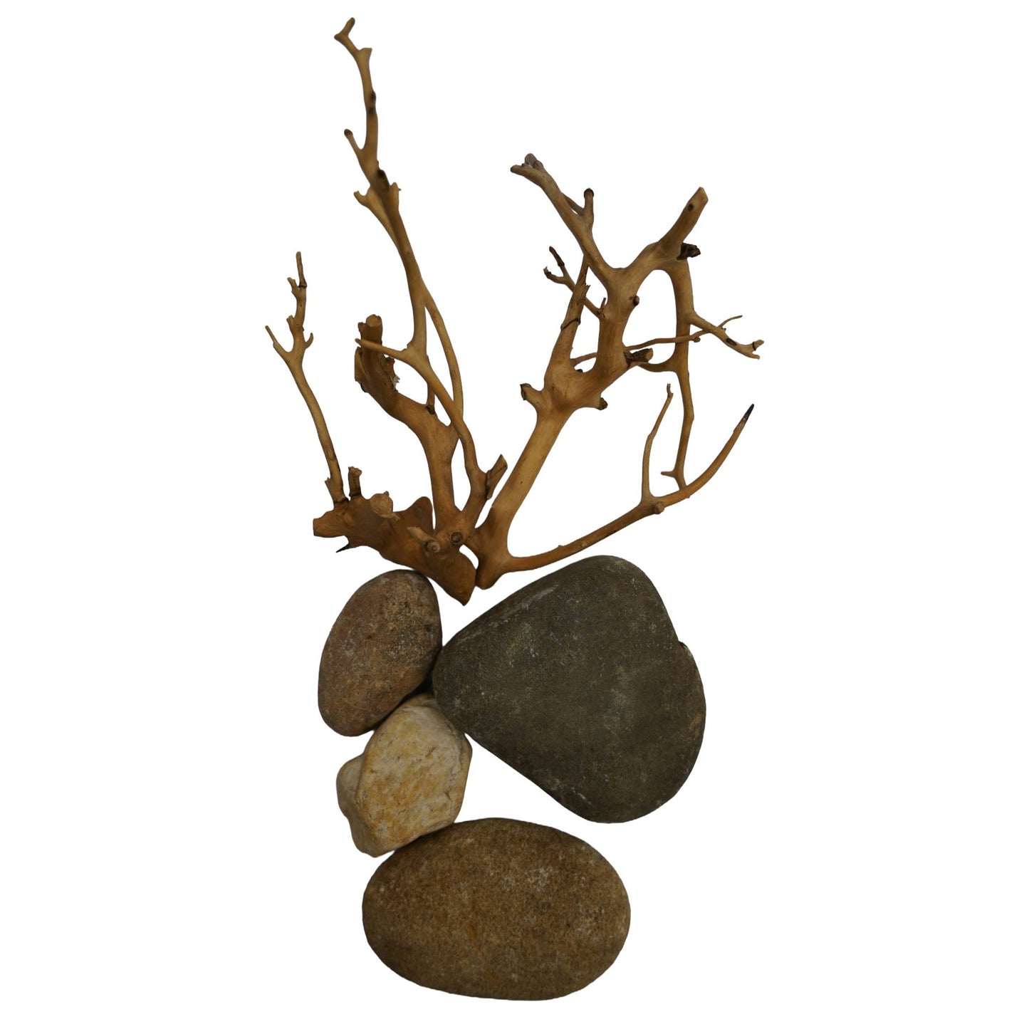 Rock & Root - Nano Hardscape Sets