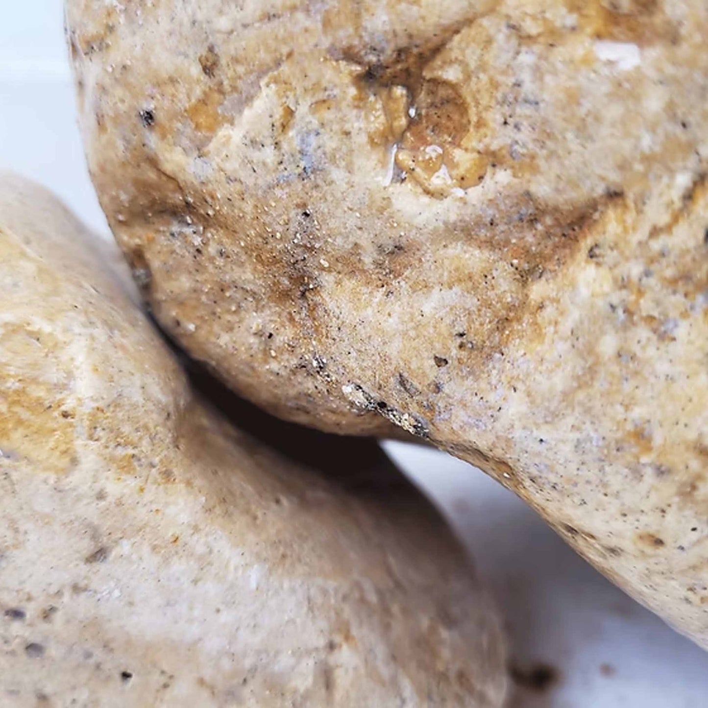 WIO White Adder Boulder Stone Nano Box 5kg