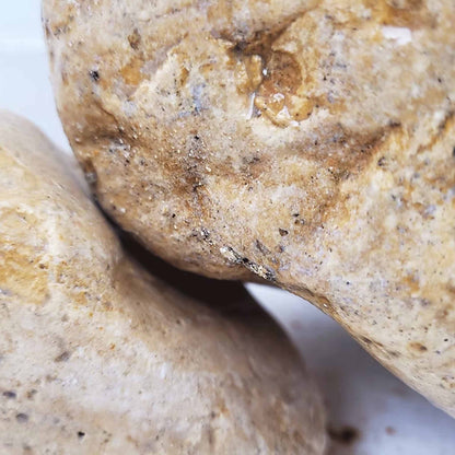 WIO White Adder Boulder Stone Nano Box 5kg