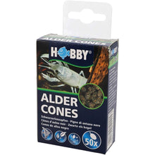 Hobby Alder Cones