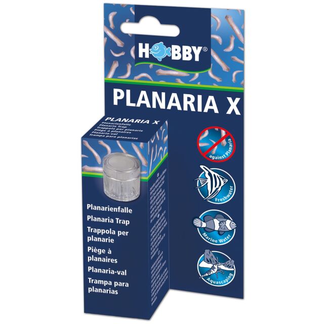 Hobby Planaria X Trap
