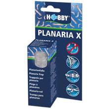 Hobby Planaria X Trap