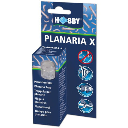 Hobby Planaria X Trap