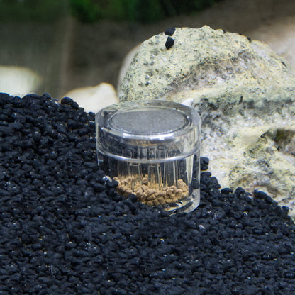 Hobby Planaria X Trap