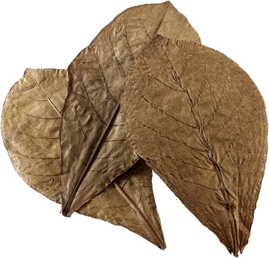 Hobby Nano Catappa Leaves