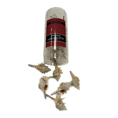 Hugo Shells in Tubs 350g