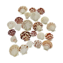 Hugo Sea Shells 100g