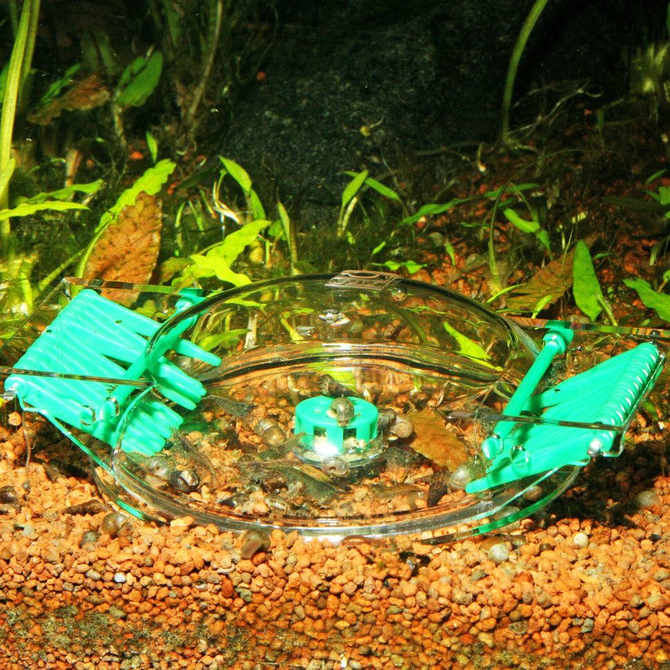 JBL Limcollect Snail Trap
