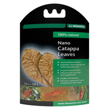 Dennerle Nano Catappa Leaves
