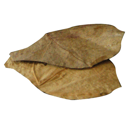 Dennerle Nano Catappa Leaves