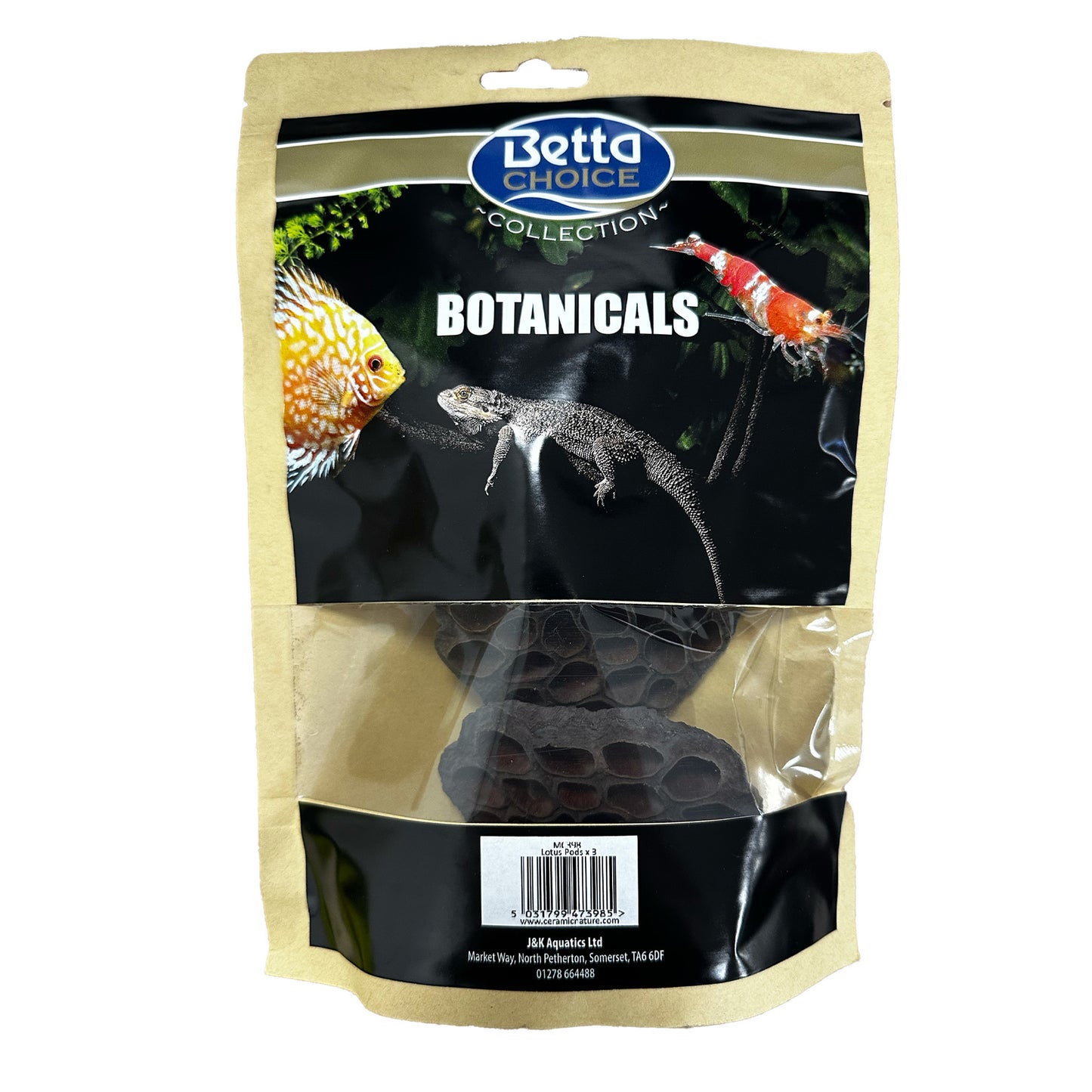 Betta Lotus Pods (x3)