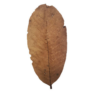 Ceramic Nature Guava Leaves