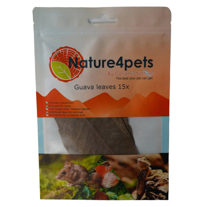 Ceramic Nature Guava Leaves