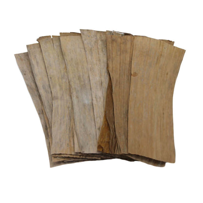 Betta Banana Leaves (20 pcs)