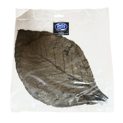 Betta Teak Leaves