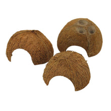 Half Coconut Shelter