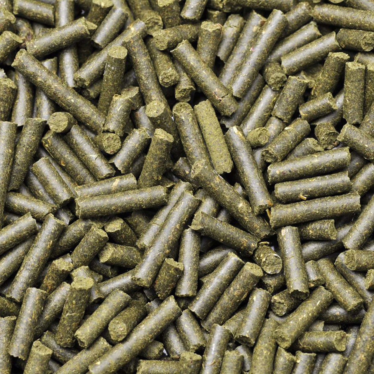 Shrimp King Complete